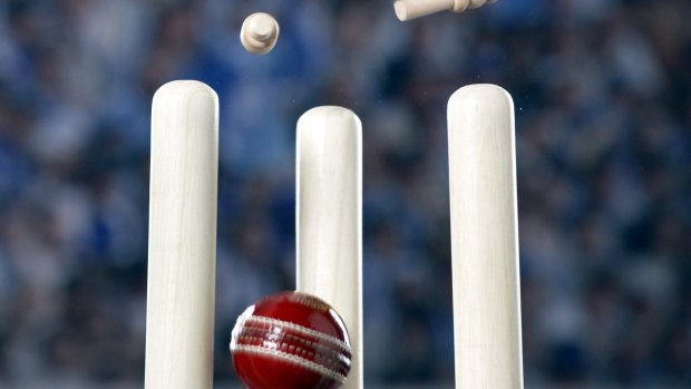 Cricket stumps bails