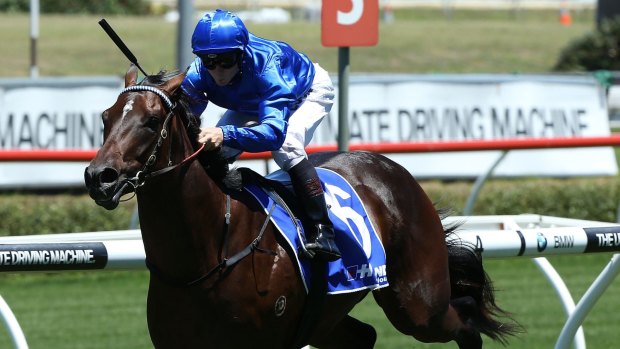 Randwick trial: Holler will run a trial at Randiwck on Monday ahead of a possible Ascot tilt.