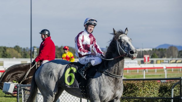 No When to Hold Em, ridden by Brock Ryan, scored at Canberra on Friday. 