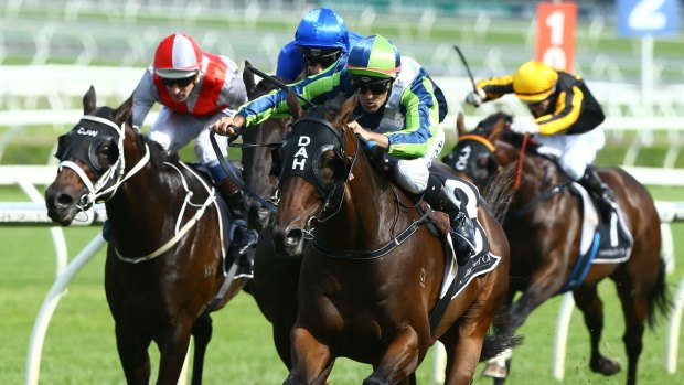 Dunn and dusted: Dwayne Dunn and He's Our Rokkii romp home in the Frank Packer Plate.