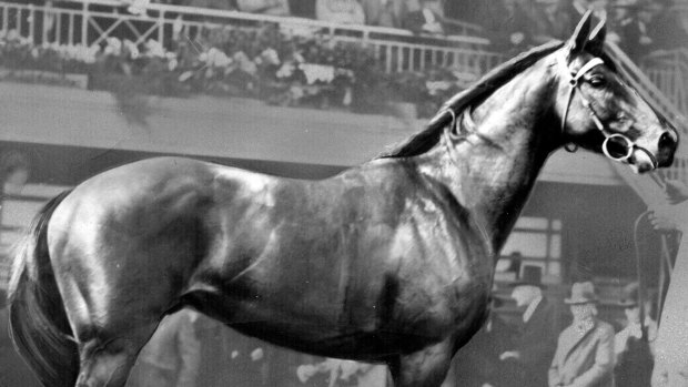 Boilover: Nightmarch, winner of the 1929 Melbourne Cup, eclipsed a field including  Phar Lap.