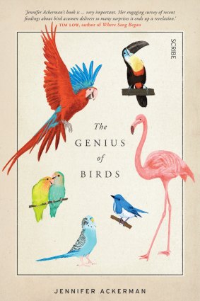 <i>The Genius of Birds</i> by Jennifer Ackerman.