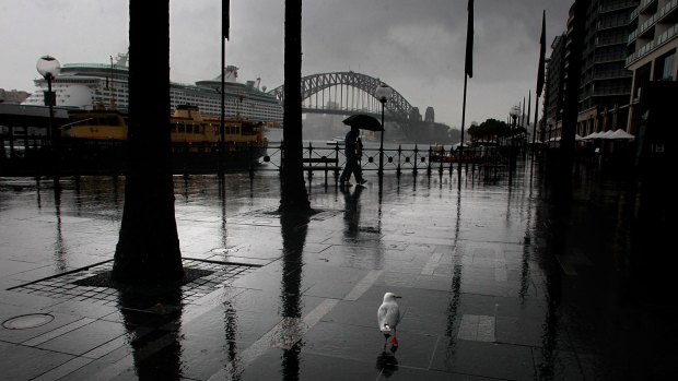 Soggy day: The heaviest rainfall hit Sydney's CBD between 11pm and midnight.
