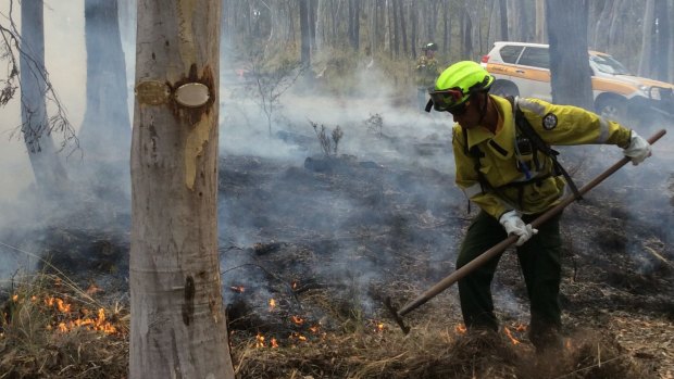 A ranger conducting controlled burns.