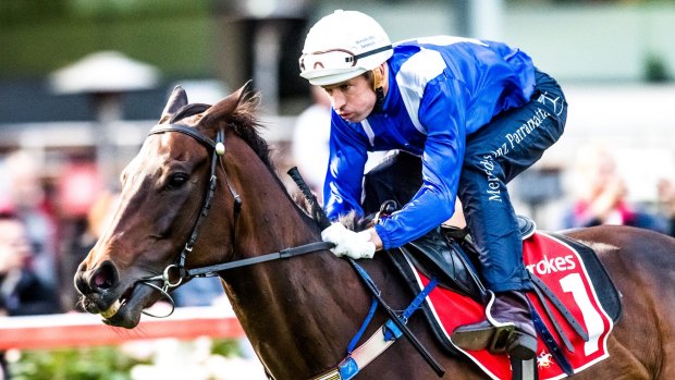Hope: Hugh Bowman is doing everything he can to ride Winx in the Apollo Stakes.