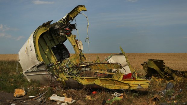 The rear fuselage of flight MH17 at the Ukrainian crash site in 2014.