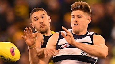 Knee Injury Sidelines Cats Ruckman Zac Smith
