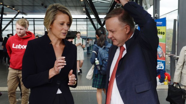 Anthony Albanese and Kristina Keneally campaigning in Bennelong on Friday.