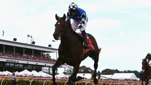 Protectionist won last year's Melbourne Cup.
