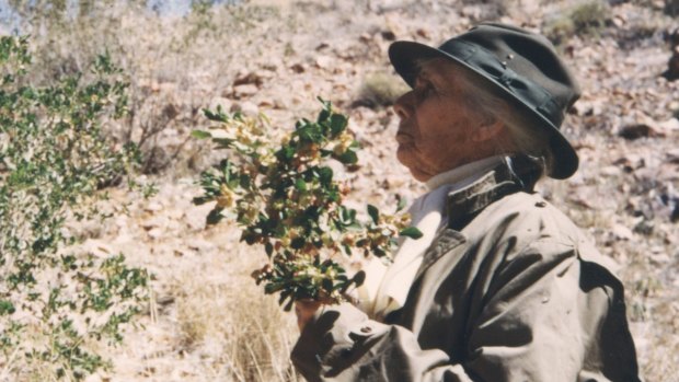 Olive Pink in the Alice Springs reserve around 1960.