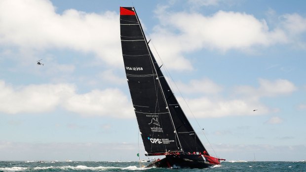 First-time contender Comanche has slowed in light winds.