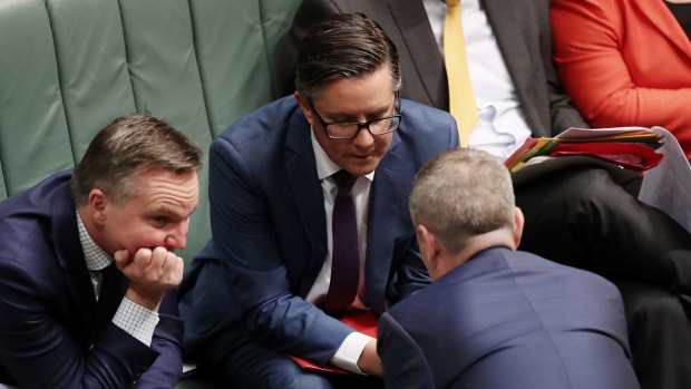As Mark Butler (centre) puts it, Labor's 50,000 members, in a country of 25 million, barely entitle it to be considered a mass-membership party.  