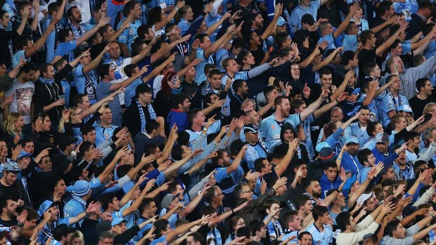 Fandom: Sydney FC fans cheer during a match.