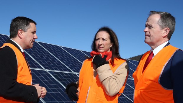 Opposition Leader Bill Shorten with Canberra MP Gai Brodtmann at a solar farm near Canberra last year.