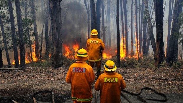 The CFA will become a solely volunteer operation under the new arrangements. 