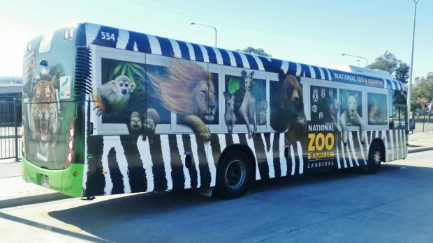 The National Zoo and Aquarium buses are on Action Bus routes all over town.