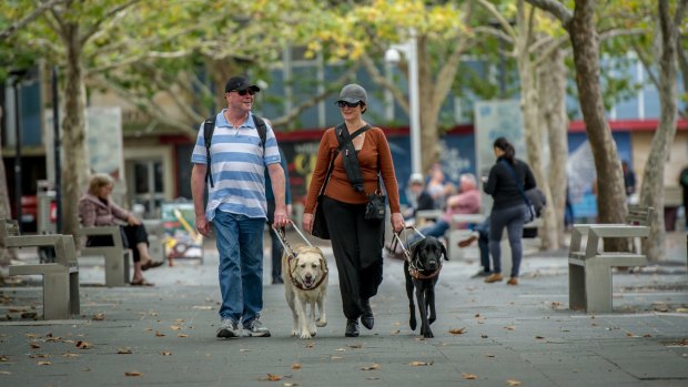 Guide dog handler Jo Weir and fiancee Justin Simpson with their guide dogs Wiley (black) and Yarrin (gold).