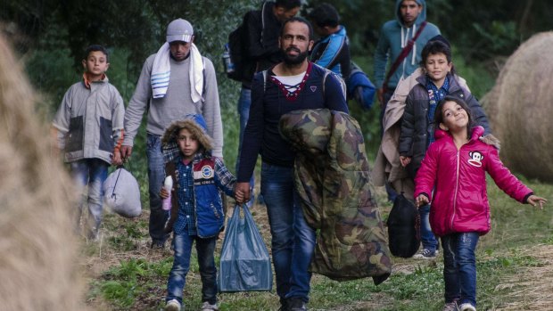 Migrants walk at the border between Hungary and Serbia.