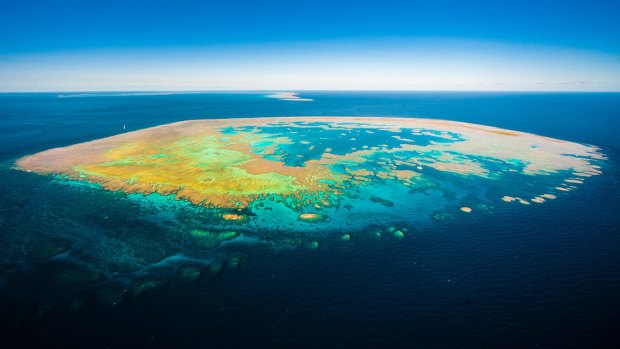 The Great Barrier Reef around Hamilton Island has been unaffected by the bleaching that has hit other parts of the natural wonder.