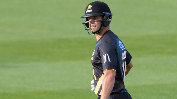 Indiscretion: Evan Gulbis playing for the Wellington Firebirds in Christchurch.