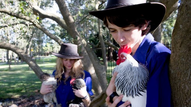 Pittwater High year 10 students Penny Fraser and Jason Beard with the school's chickens.