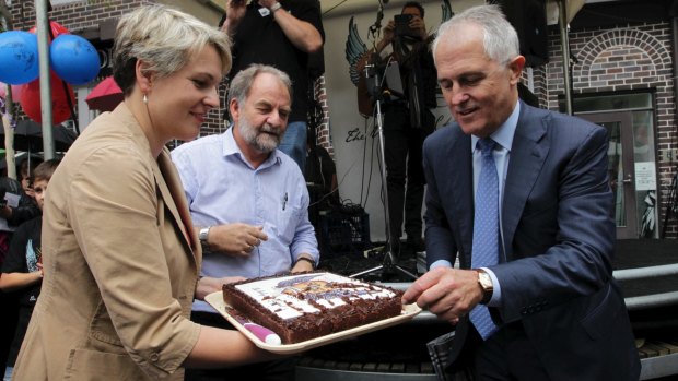 Ms Plibersek and Mr Turnbull pictured in 2014 while joining forces to celebrate a local event.