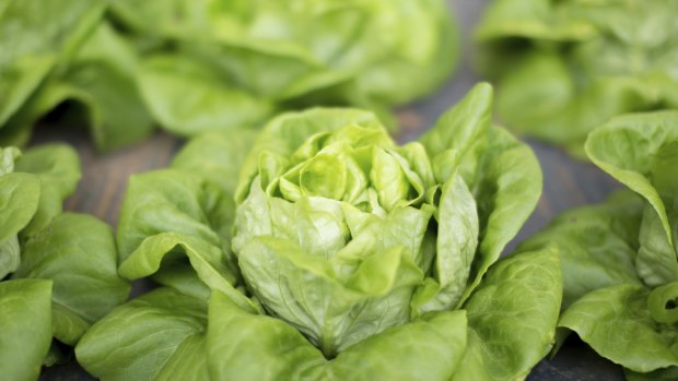 A packet of lettuce seed costs about the same as a lettuce.