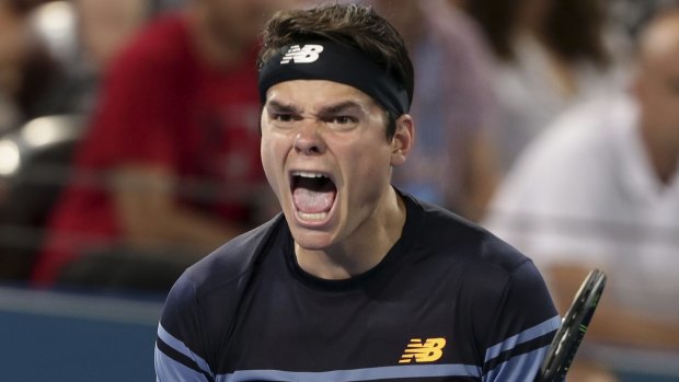 Milos Raonic celebrates his win over Roger Federer in the Brisbane International final in January.