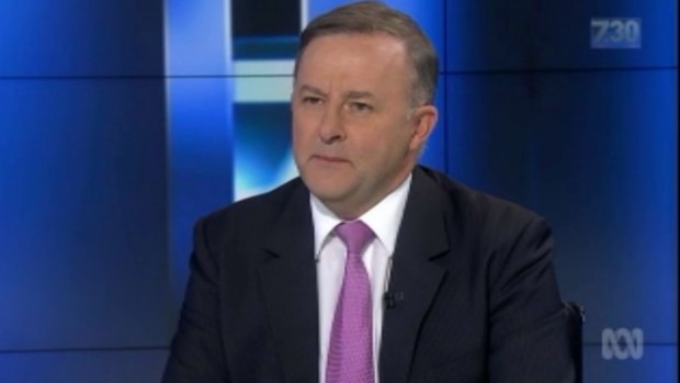 Anthony Albanese says no one is leader indefinitely, but he stands behind Bill Shorten.