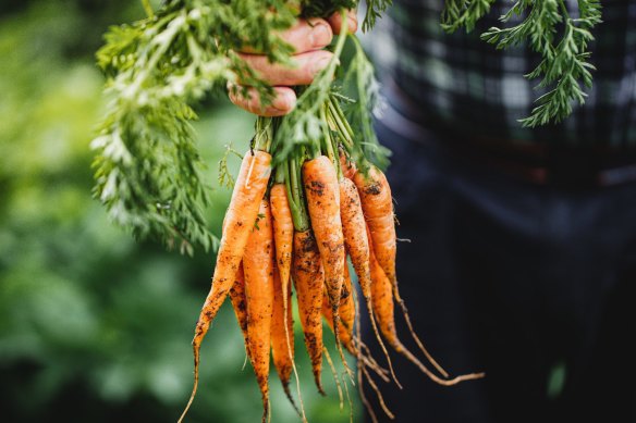 "The carrot price never really changes, it hasn't for 20 years."