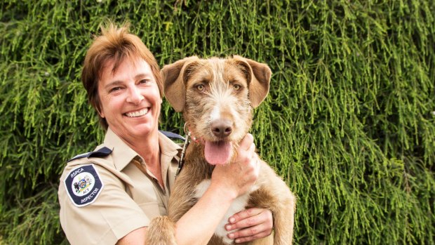 Former RSPCA ACT inspector Catherine Croatto has been awarded the inaugural Animal Defenders Office's animal protection award for 2017. 