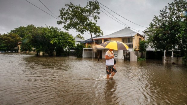 Rain from ex-cyclone Debbie floods Windsor on Thursday.