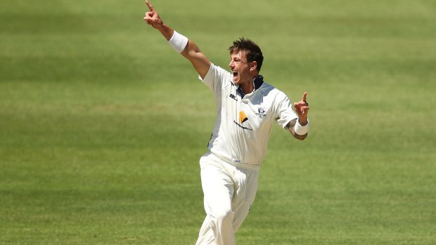 Injury comeback: James Pattinson is in good form in the English county competition for Nottinghamshire.