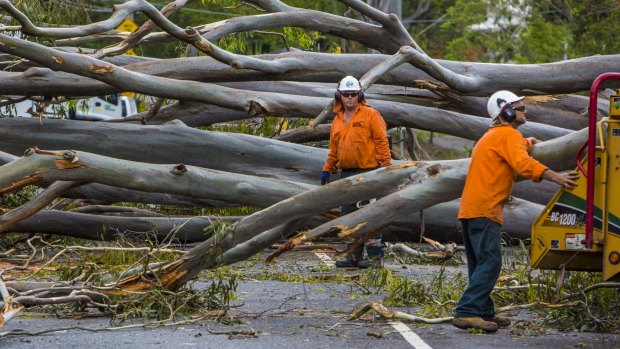 Thursday's storm left a trail of destruction and debris across 59 suburbs of Brisbane.