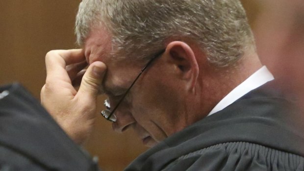 State Prosecutor Gerrie Nel described the Pistorius sentencing as "shockingly inappropriate".