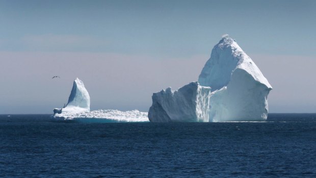 A large iceberg is visible from the shore in Ferryland, an hour south of St John's, Newfoundland.