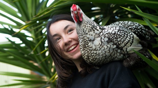 Angelina Popovski petitioned ALDI Australia to stop buying caged eggs. 