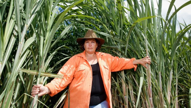 Kalamia Cane Growers director Paula Langdon on her farm near Ayr, North Queensland.