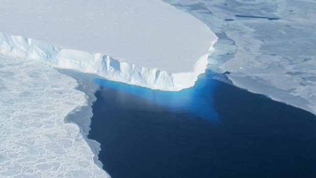 Disappearing: The melting Thwaites Glacier in west Antarctica is projected to raise global sea levels by nearly 60 centimetres over coming centuries.