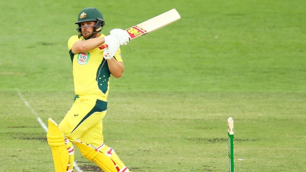 Aaron Finch of Australia on the way to a century against India in Canberra. 