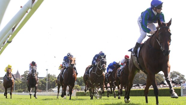 Explosive: Tommy Berry rides Dana’s Best to a strong victory in the Australia Day Cup.