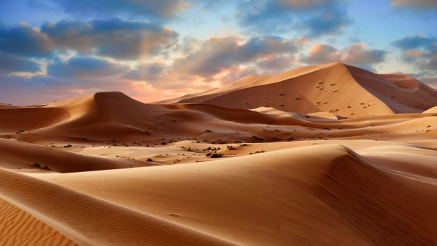 Sahara sand dunes of Erg Chebbi, Morocco, Africa.