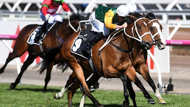 Stablemates: Michael Dee rides Shillelagh to victory in the Kennedy Mile with a familiar name narrowly missing out.