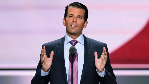 Trump Jr replied within minutes of receiving an email referencing potential incriminating information against Hillary Clinton: "If it's what you say I love it especially later in the summer."
