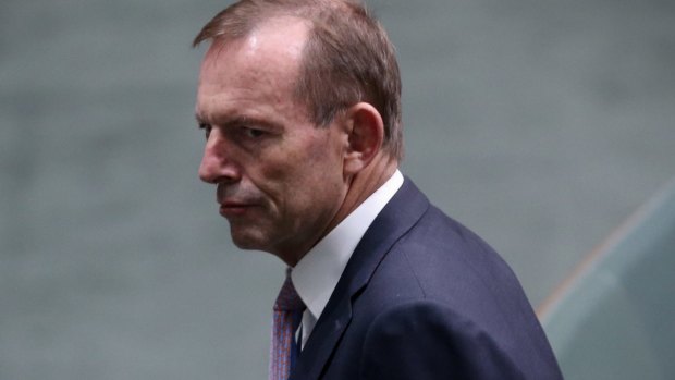 Tony Abbott is  increasingly being compared to Kevin Rudd, 
