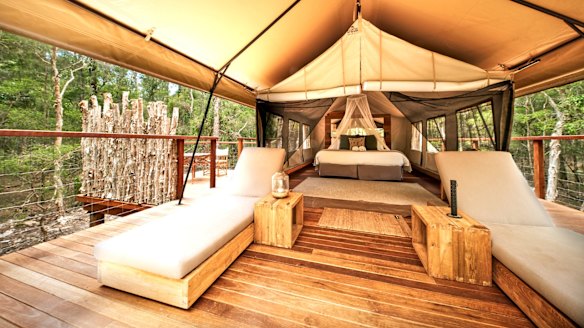 Bower Bird deluxe tent at Paperbark Camp.
