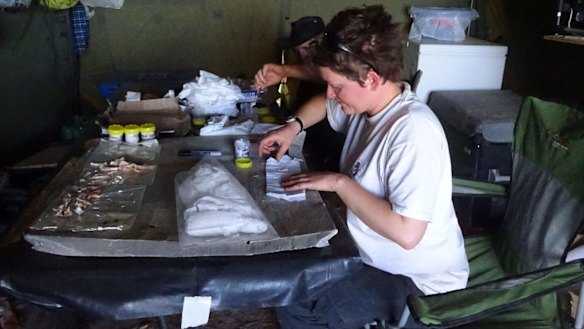 Flinders University PhD candidate Elen Shute in a field laboratory on the Nullabor Plain.