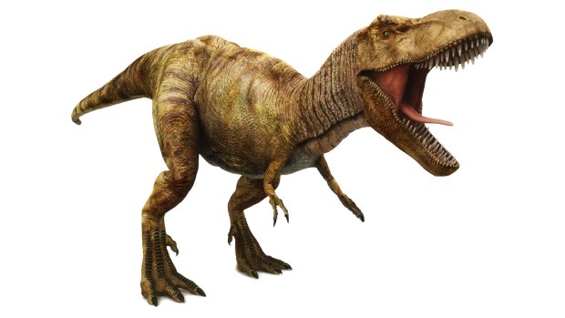 The Tyrannosaurus Rex had puny arms.