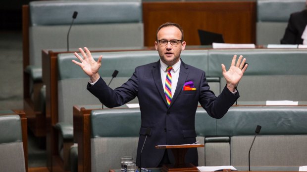 Greens climate change spokesman Adam Bandt said the AEMO report was effectively bypassing the government.