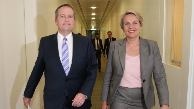 Opposition Leader Bill Shorten and Deputy Opposition Leader Tanya Plibersek at Parliament House on Monday.